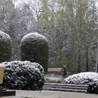 Апрельский снег :: Galina Solovova