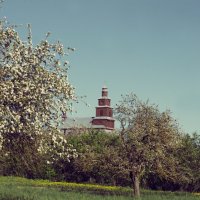Костёл св. Петра и Павла :: Варвара Высоцкая