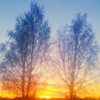 Апрельский закат :: Сергей Кочнев