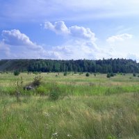 На велопрогулке :: Дмитрий Петров