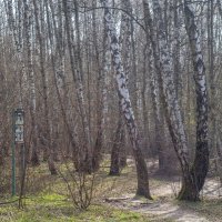 ___ :: Yuriy V ___ :: Yuriy V