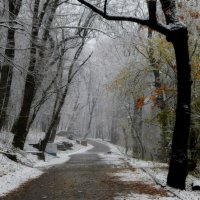 Первый снег..... :: Юрий Цыплятников Первый снег..... :: Юрий Цыплятников