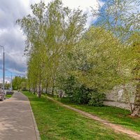 На апрельской аллее :: Валерий Иванович