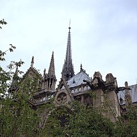 Париж. :: Владимир Драгунский