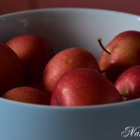 *** :: Наталья Вязигина