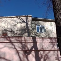 *** :: Валентина Береснева