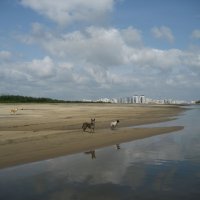 Дикий пляж :: Anna Ivanova