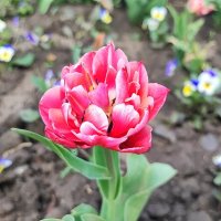 ,,, :: Сергей Тимоновский