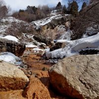 ЗИМНЯЯ ПРОГУЛКА. :: Виктор Осипчук ЗИМНЯЯ ПРОГУЛКА. :: Виктор Осипчук