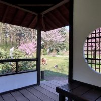 в беседке :: ИРЭН@ . в беседке :: ИРЭН@ .