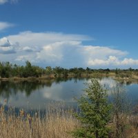 Местные красоты. :: Виктор 