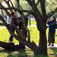 весна идет по городу :: Олег Лукьянов весна идет по городу :: Олег Лукьянов