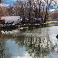 Весна в парке :: Александр Тарноградский