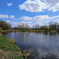 Плывут по небу облака... :: Мария Васильева