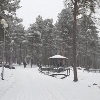 Снегопад в конце апреля :: Ольга Снегопад в конце апреля :: Ольга