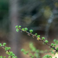 ___ :: Yuriy V ___ :: Yuriy V