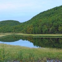 Сопки :: Сергей Швечков