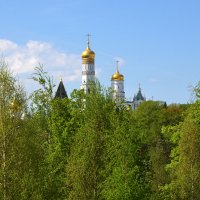 Москва. Парк Зарядье. Весна. :: Наташа *****