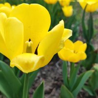 ,,, :: Сергей Тимоновский