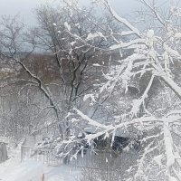 непогода в конце апреля :: Ольга Конькова