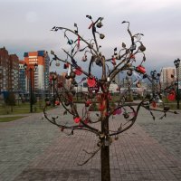 пр.Ермакова :: Galaelina ***