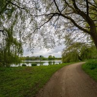 Вокруг озера... :: Николай Гирш