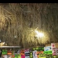 111 (56) :: СТРЕН 