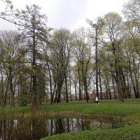 Весна :: Сапсан 