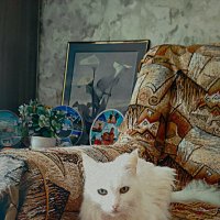 Бусенька (уже "старушка") :: Любовь 