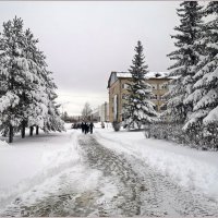 «Нас утро встречает прохладой…» :: Aquarius - Сергей