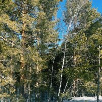 Зима :: Георгиевич 