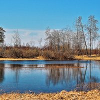 Май...Протока Чеускина! :: Владимир 