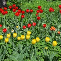 Москва. Парк Зарядье. Апрель. :: Наташа *****