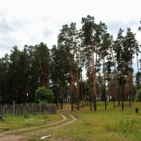 Поселок Камский :: Марсель Валеев