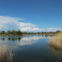 Донские  зарисовки. :: Виктор 