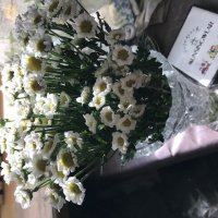 И это весна! :: Татьяна Юрасова