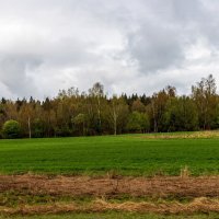 Апрельский пейзаж. :: Анатолий. Chesnavik. Апрельский пейзаж. :: Анатолий. Chesnavik.