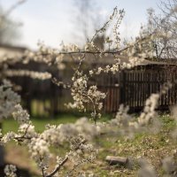 Цвет во всю :: sorovey Sol