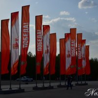 День Победы. :: Наталья Вязигина