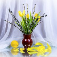 Весенний цвет :: Людмила Павловна Крышковец