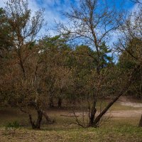 Апрельский пейзаж :: Александр Синдерёв