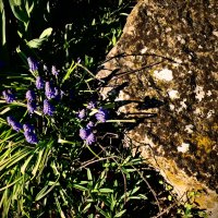 Весенние зарисовки 106 :: Алексей Кузнецов