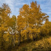 Пейзаж :: SanSan 