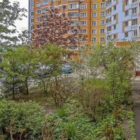 Зелень во дворе :: Валерий Иванович Зелень во дворе :: Валерий Иванович