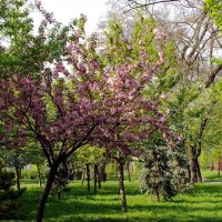 Гуляя по парку :: Фёдор Меркурьев