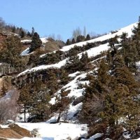 ВОСКРЕСНАЯ ПРОГУЛКА. :: Виктор Осипчук
