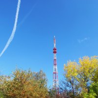 Зарисовка :: Елена Шаламова