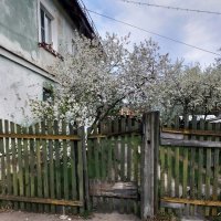 *** :: Валентина Береснева