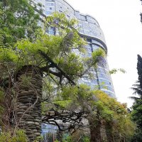 Городской пейзаж :: Tata Wolf