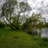 *** :: Николай Гирш